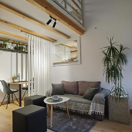 Zona Apartments 1 兹雷尼亚宁 外观 照片
